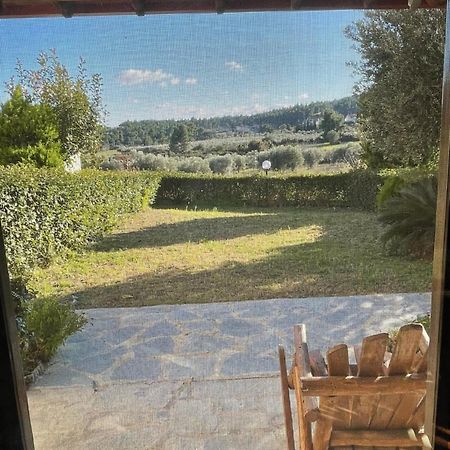 Villa Pino Pueblo Palioúri Eksteriør bilde